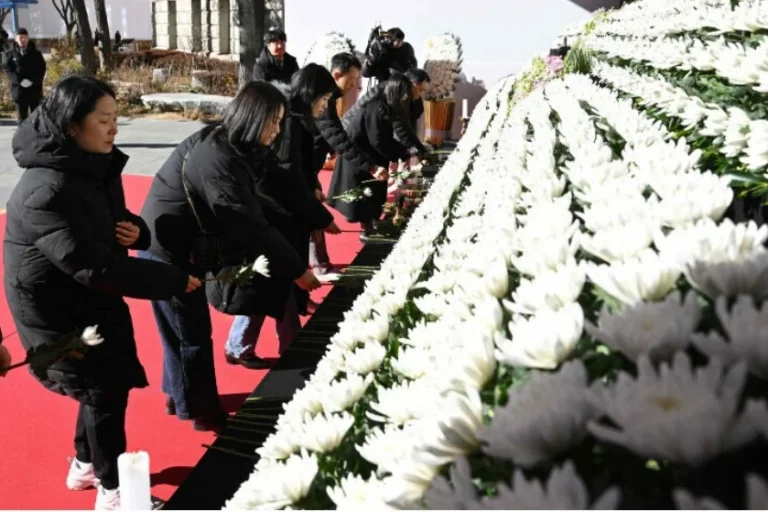 south korea Jeju air crash